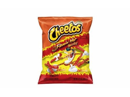 Cheetos Flamin  Hot Fashion