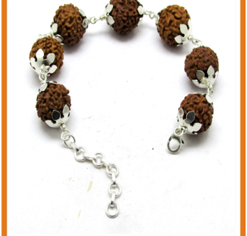 7 Mukhi Rudraksha Bracelet   Mahalaxmi Bracelet Online Hot Sale