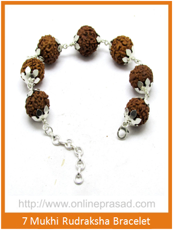 7 Mukhi Rudraksha Bracelet   Mahalaxmi Bracelet Online Hot Sale