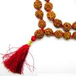 6 Mukhi Rudraksha Kantha   Kartikeya Siddha mala - 55 Nepali beads Supply