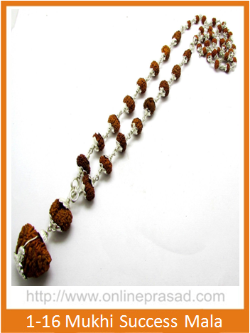 1-16 Mukhi Gauri Shankar & Ganesh Rudraksha Mala   Success Mala Online now