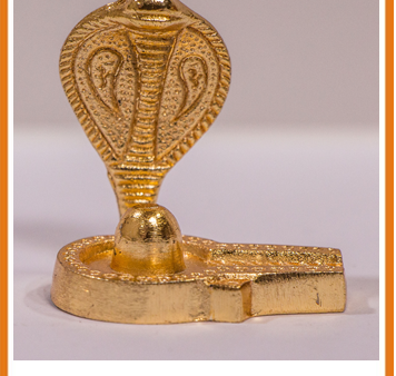 Zevotion Nageshwara Shiva Linga Idol Online now