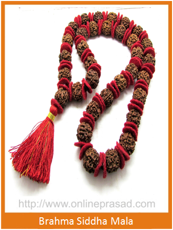 4 Mukhi Rudraksha kantha   Brahma Siddha Mala - Nepali on Sale