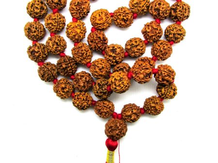 6 Mukhi Rudraksha Kantha   Kartikeya Siddha mala - 55 Nepali beads Supply