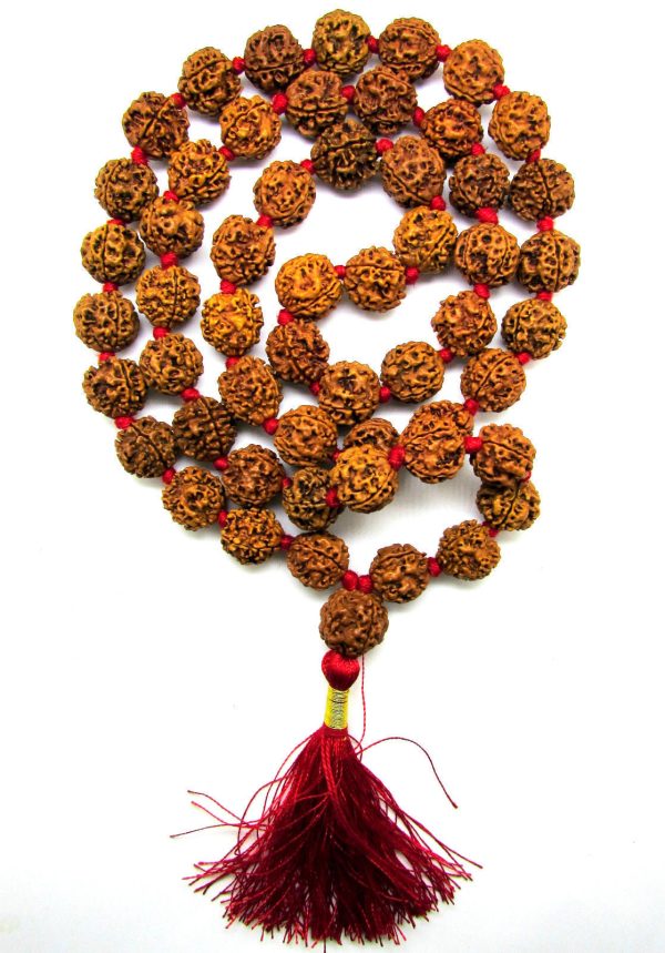 6 Mukhi Rudraksha Kantha   Kartikeya Siddha mala - 55 Nepali beads Supply