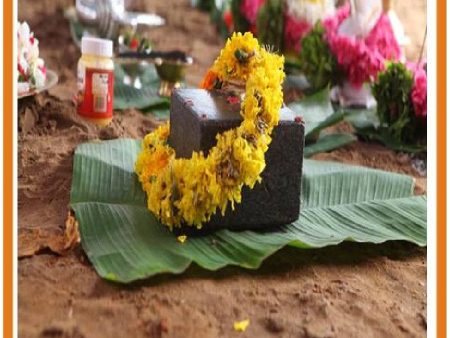 Bhoomi Puja & Havan Online now