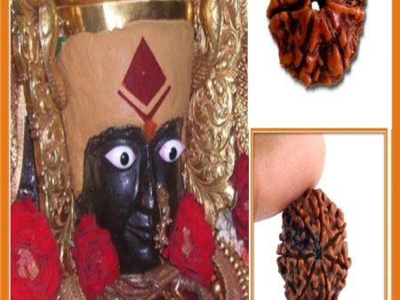 Mahalakshmi Prasad + 7 Mukhi Dhanprapti Rudraksha Discount