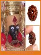 Mahalakshmi Prasad + 7 Mukhi Dhanprapti Rudraksha Discount