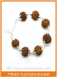 7 Mukhi Rudraksha Bracelet   Mahalaxmi Bracelet Online Hot Sale