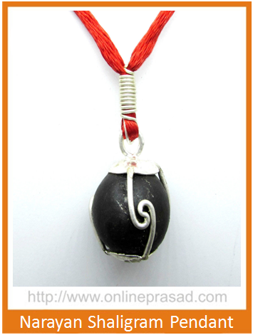 Narayan Shaligram Pendant Cheap