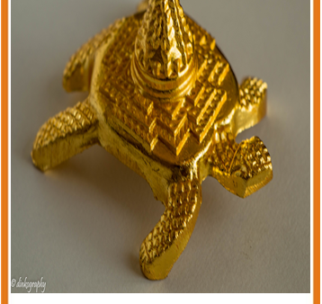 Zevotion Kachua Maha Meru Gold Plated Idol For Cheap