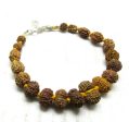 Power Siddha Bracelet 1 to 14 mukhi, Gauri Shankar & Ganesh Rudraksha-Java Online now