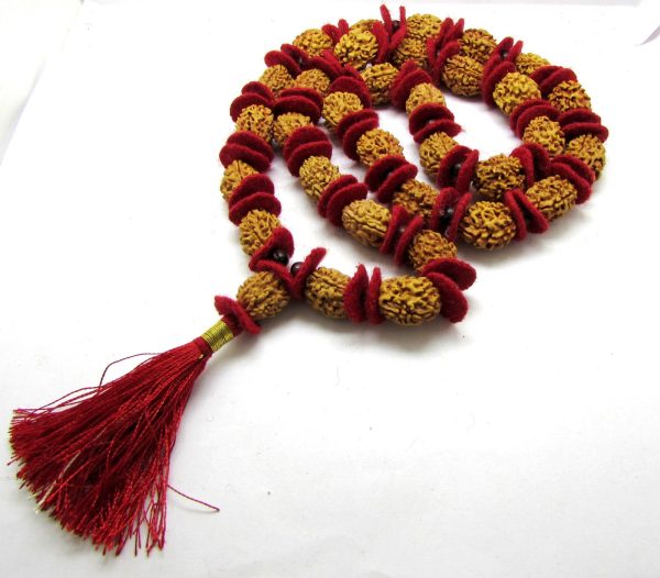 3 Mukhi Rudraksha Kantha   Agni Siddha Mala - 33 beads Cheap