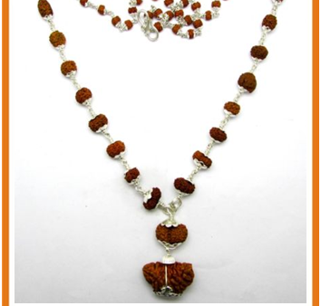 1-16 Mukhi Gauri Shankar & Ganesh Rudraksha Mala   Success Mala Online now