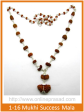 1-16 Mukhi Gauri Shankar & Ganesh Rudraksha Mala   Success Mala Online now