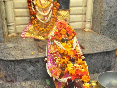 Bagalamukhi Devi Puja Hot on Sale