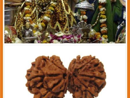 Karwa Chauth Special Prasad + Gauri Shankar Rudraksha (with silver capping) For Discount