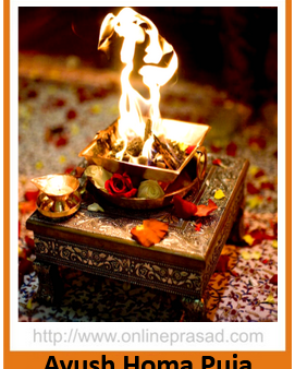 Ayush Homam Puja Hot on Sale