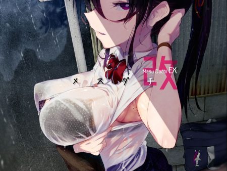 Original Hentai Doujinshi Online Sale