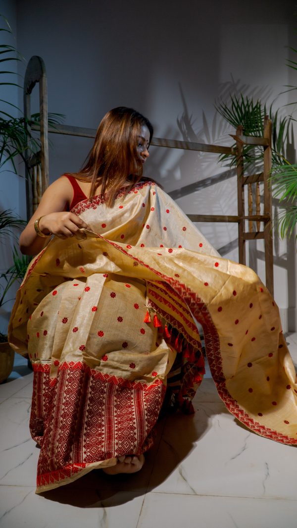 Agni Sparha - Assamese Traditional Mulberry Silk Mekhela Chador Sale