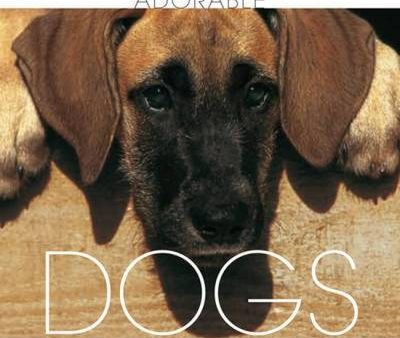 & Charles David: Dogs [2011] hardback For Discount